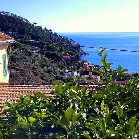 Profumo Di Salsedine Daire *